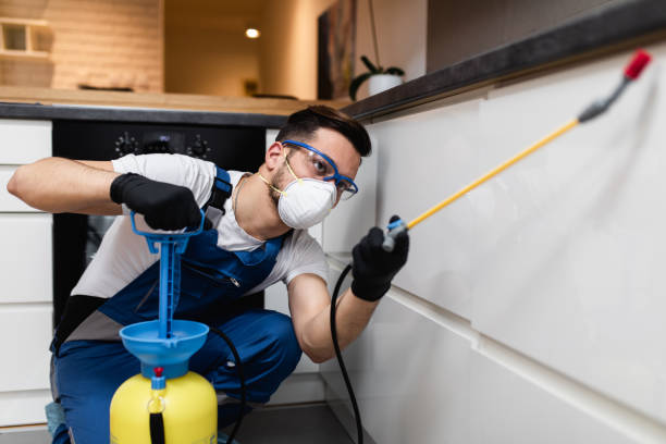 Best Wildlife Control Services  in Zebulon, NC