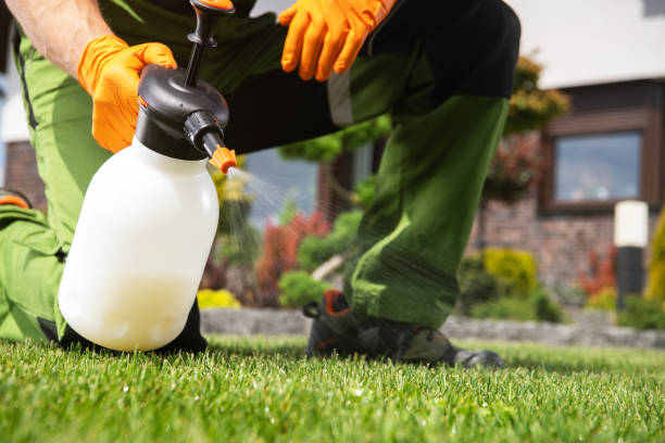 Pest Control for Restaurants in Zebulon, NC