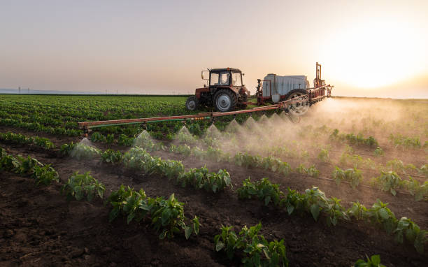 Reliable Zebulon, NC Pest Control Solutions