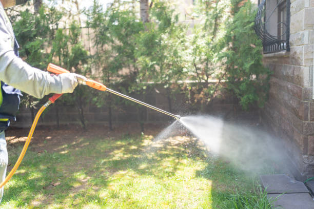 Best Exterminator Services  in Zebulon, NC