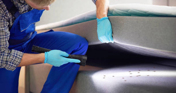  Zebulon, NC Pest Control Pros