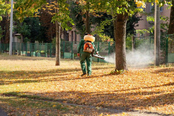 Best Pest Control Near Me  in Zebulon, NC