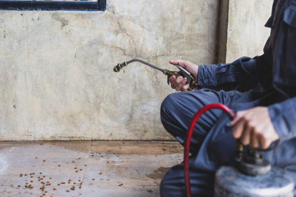 Best Pest Control for Restaurants  in Zebulon, NC
