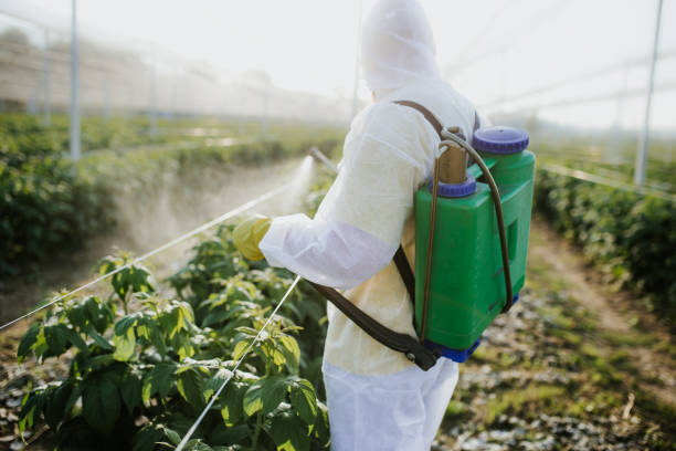 Best Best Pest Control Companies  in Zebulon, NC